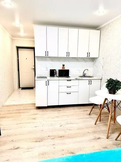 Braun Apartment Almaty 0*,  Kazakhstan