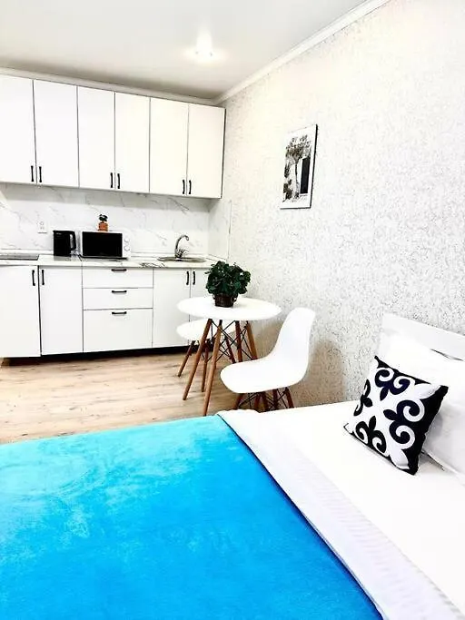 Braun Apartment Almaty Kazakhstan